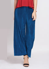 เลดี้พลัส Lady Plus กางเกงพีท | Pleated Pants Pants www.ladyplus.co.th (4945221517452)